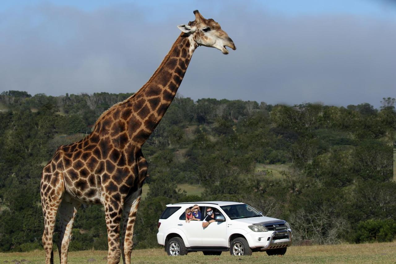 Kragga Kamma Game Park Villa Port Elizabeth Esterno foto